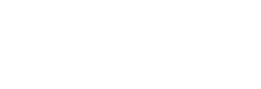 Social Enterprise logo, white.