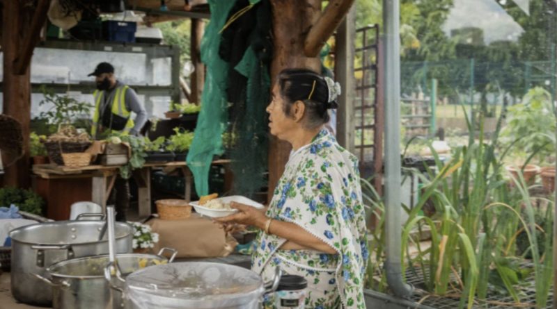 A woman cooking in a big bowl at Spitalfields City Farm.